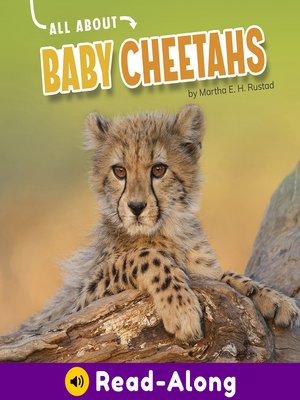 cover image of All About Baby Cheetahs